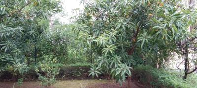 Image of 2600 Sq.ft 3 BHK Independent House for sale in Vikramgad, Mumbai for Rs. 10000000