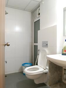 Common Bathroom Image of 650 Sq.ft 1.5 BHK Apartment / Flat for rent in Godrej Emerald, Kasarvadavali Thane for Rs. 27585