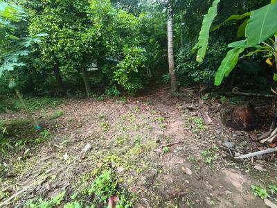 Image of 3485 Sq.ft Residential Plot / Land for sale in Chendamangalam, Kochi for Rs. 3600000