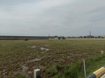 Image of 800 Sq.ft Residential Plot / Land for sale in SIP Romera Phase II, Rajankuppam, Chennai for Rs. 2239200