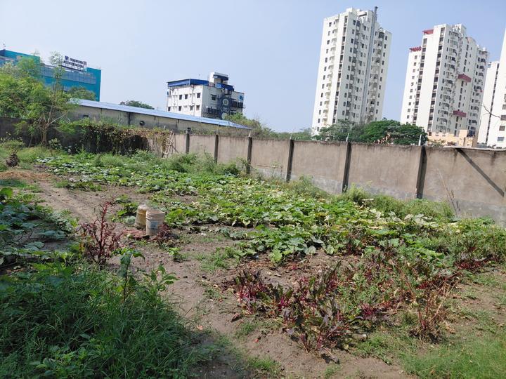 Chit Kalikapur Main Image 1