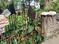 Property in Sukanta Nagar Plot View 2