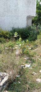 Image of 380 Sq.ft Residential Plot / Land for sale in Hiran Magri, Udaipur for Rs. 2660000