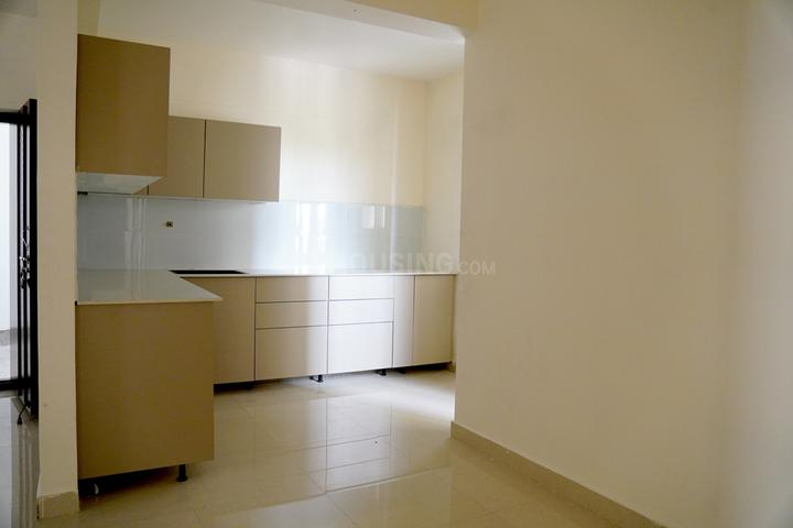 Sanarelli Main Image 1