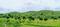 Aranyam Estate  Plot View 2