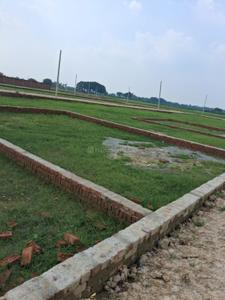 Barai Plot View 2