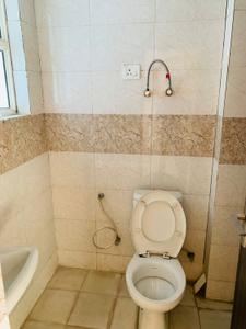 Image of 800 Sq.ft 2 BHK Apartment / Flat for rent in Supertech Eco Village 1, Noida Extension, Greater Noida for Rs. 16500
