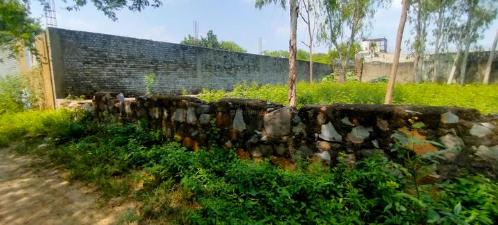 South Sainik Farm, Sainik Farm Main Image 1