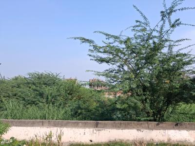 Image of 1800 Sq.ft Residential Plot / Land for sale in Sector 113, Noida for Rs. 28500000