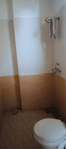 Bathroom Image of 650 Sq.ft 2 BHK Apartment / Flat for sale in Real Avani Homes, Sukhdeopura Nohara Jaipur for Rs. 3800000