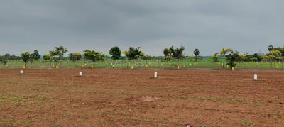 Image of 1500 Sq.ft Residential Plot / Land for sale in Madurantakam, Chennai for Rs. 1498500