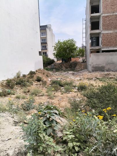 Sector 1 Main Image 1