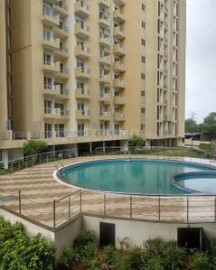 Image of 781 Sq.ft 2 BHK Apartment / Flat for rent in Wish Uma Aangan, Hasampura, Jaipur for Rs. 15000