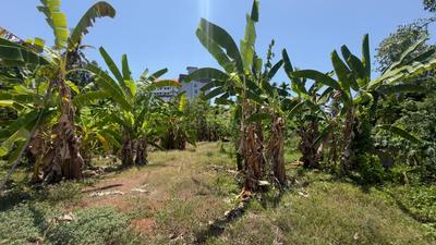Image of 4555 Sq.ft Residential Plot / Land for sale in Kakkanad, Kochi for Rs. 15500000