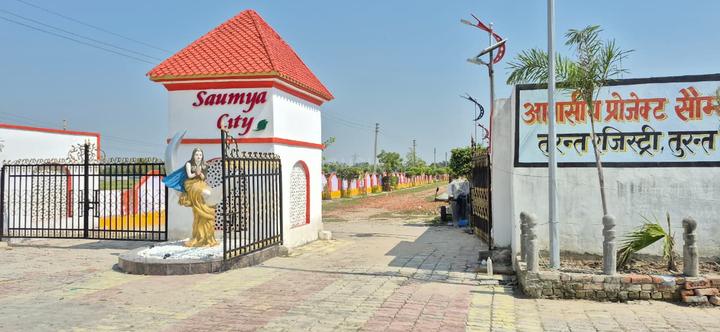 Tindola Main Image 1