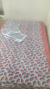 Bedroom Image of 850 Sq.ft 1 BHK Builder Floor for rent in LDA Colony Lucknow for Rs. 11000