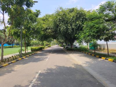 Image of 612 Sq.ft Residential Plot / Land for sale in DLF Alameda, Sector 73, Gurgaon for Rs. 195000000