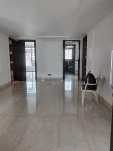 Hall Image of 2800 Sq.ft 4 BHK Builder Floor for sale in Hauz Khas New Delhi for Rs. 185000000