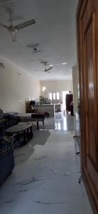 Living Room Image of 1450 Sq.ft 2 BHK Apartment / Flat for rent in Manduwala Dehradun for Rs. 28000