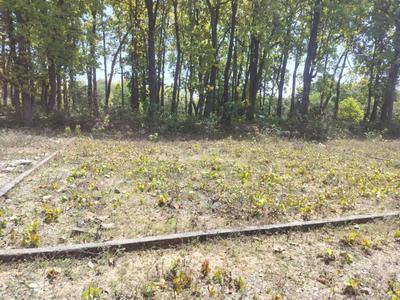 Image of 1494 Sq.ft Residential Plot / Land for sale in Saundhon Wali, Dehradun for Rs. 4500000