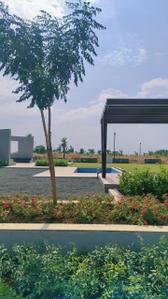 Image of 500 Sq.ft Residential Plot / Land for sale in Tirumala Padmawati, Budhaniya, Indore for Rs. 1550000