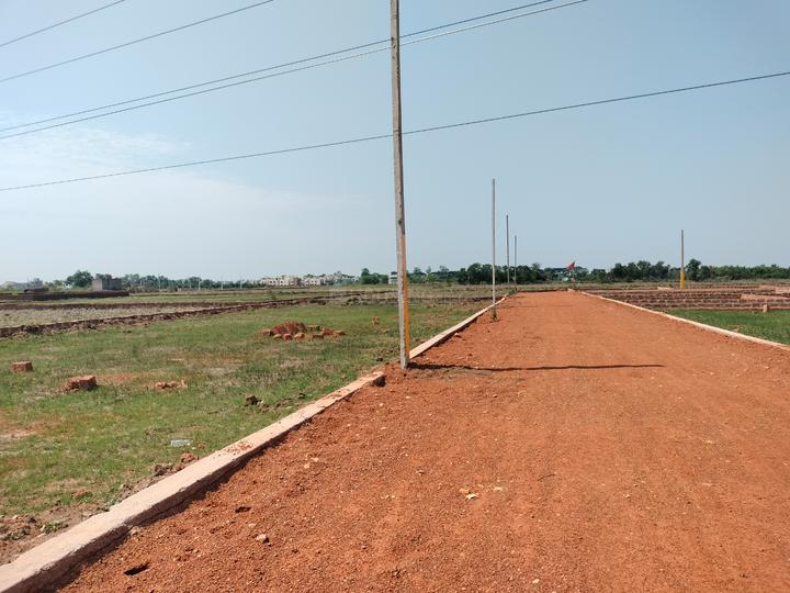 Orakal Main Image 1