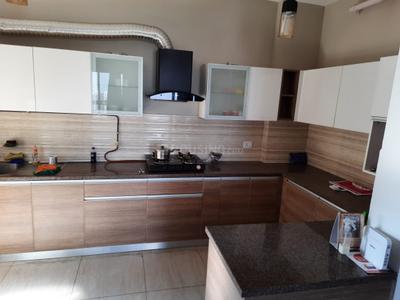 Kitchen Image of 1827 Sq.ft 3 BHK Apartment / Flat for rent in ABA Cleo County, Sector 121 Noida for Rs. 85000