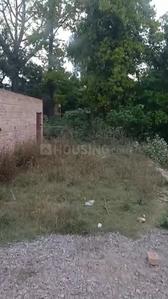 Malihabad Plot View 2