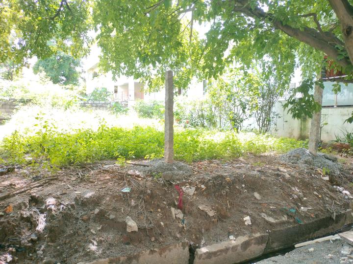 Sector 4, HSR Layout Main Image 1