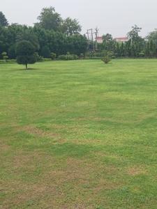 Image of 1008 Sq.ft 3 BHK Farm House for sale in DPL Nature Retreat, Tech Zone, Greater Noida for Rs. 8000000