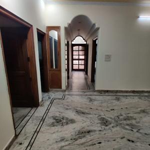 Hall Image of 2250 Sq.ft 3 BHK Apartment / Flat for rent in Sector 49 Faridabad for Rs. 32000