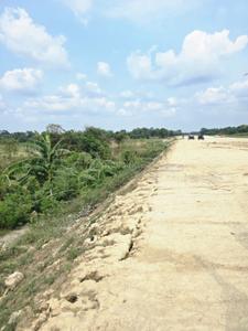Image of 1800 Sq.ft Residential Plot / Land for sale in Bara Bazar, Madhubani for Rs. 1800000