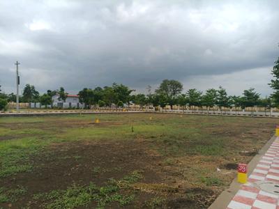 Hampton Palm Plot View 2