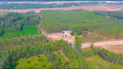 Image of 1000 Sq.ft Residential Plot / Land for sale in Dharatal Shakumbhari Estate, Wazeedpur, Saharanpur for Rs. 1000000