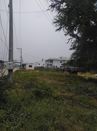 ROYAL RAJPUTANA CO Main Image 1