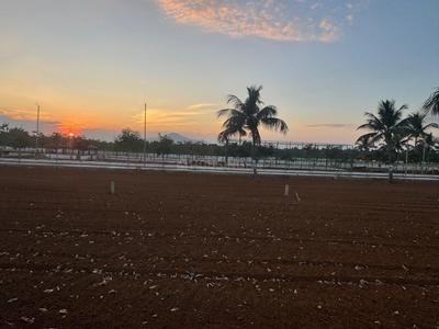 Image of 200 Sq.ft Residential Plot / Land for sale in Pishini, Srikakulam for Rs. 2600000