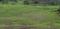 Palaspa Plot View 2