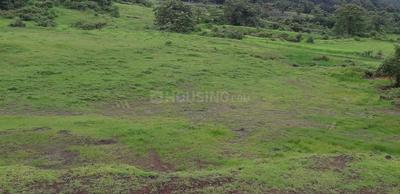 Palaspa Plot View 2