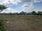 Perne Plot View 2