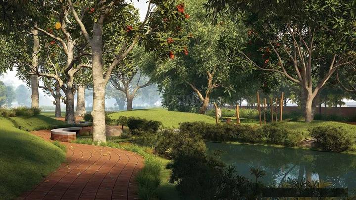 Tangled Up In Green Main Image 1