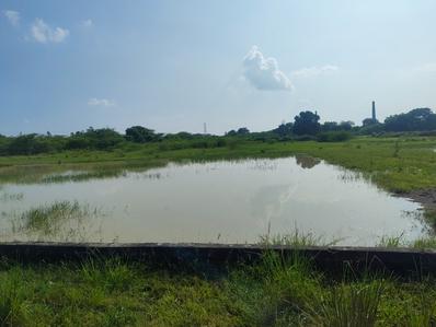 Image of 2000 Sq.ft Residential Plot / Land for sale in Mohanlalganj, Lucknow for Rs. 3000000
