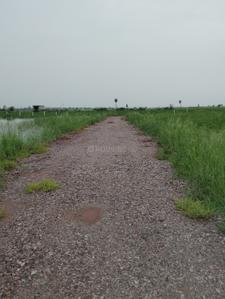 Image of 50 Sq.ft Residential Plot / Land for sale in Silani, Gurgaon for Rs. 750000