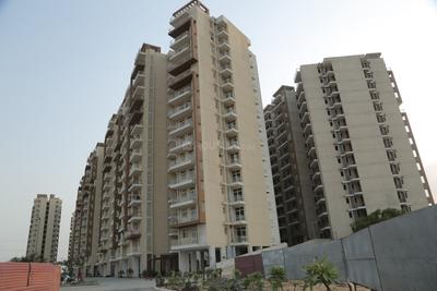 Image of 1250 Sq.ft 3 BHK Apartment / Flat for sale in Sector 51, Bhiwadi for Rs. 4800000
