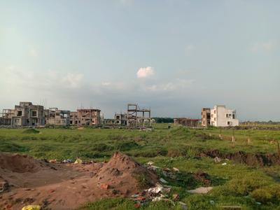Patharghata Plot View 1
