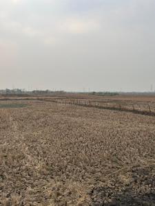 jui Plot View 1