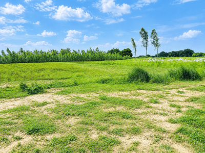 Image of 900 Sq.ft Residential Plot / Land for sale in Jhalwa, Allahabad for Rs. 1350000