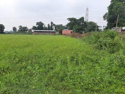 Image of 1200 Sq.ft Residential Plot / Land for sale in Naubatpur, Patna for Rs. 1440000