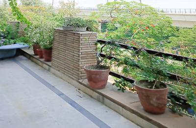 Balcony Image of Sharma Nest in Sector 17, Noida