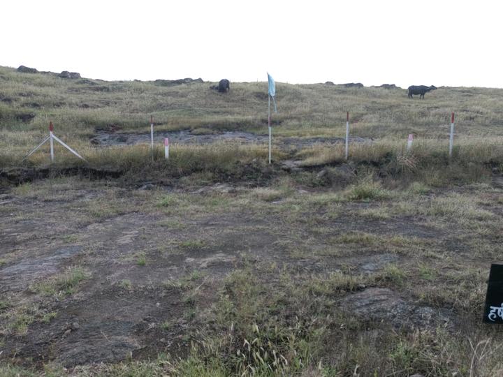 Yewalewadi Main Image 1