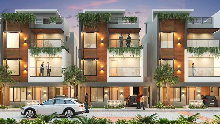 Signature One Main Image 1